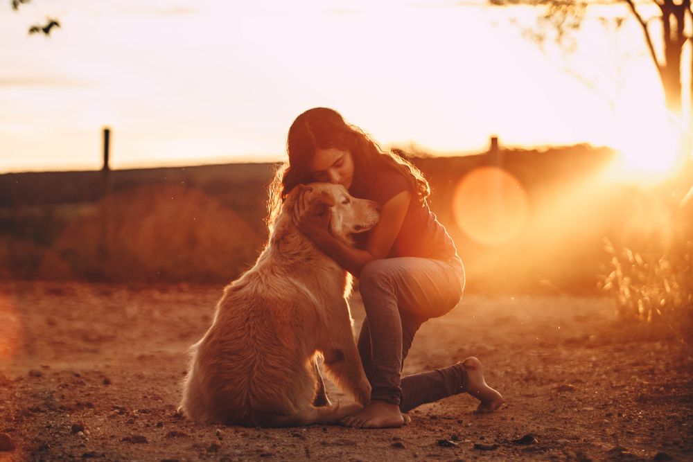 Niña abrazando a su perro al atardecer