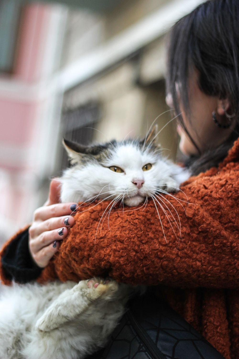 Mujer abrazando a su gato esponjoso